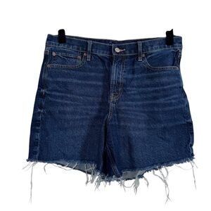 American Eagle Shorts High Rise Relaxed Strigid Cut-off